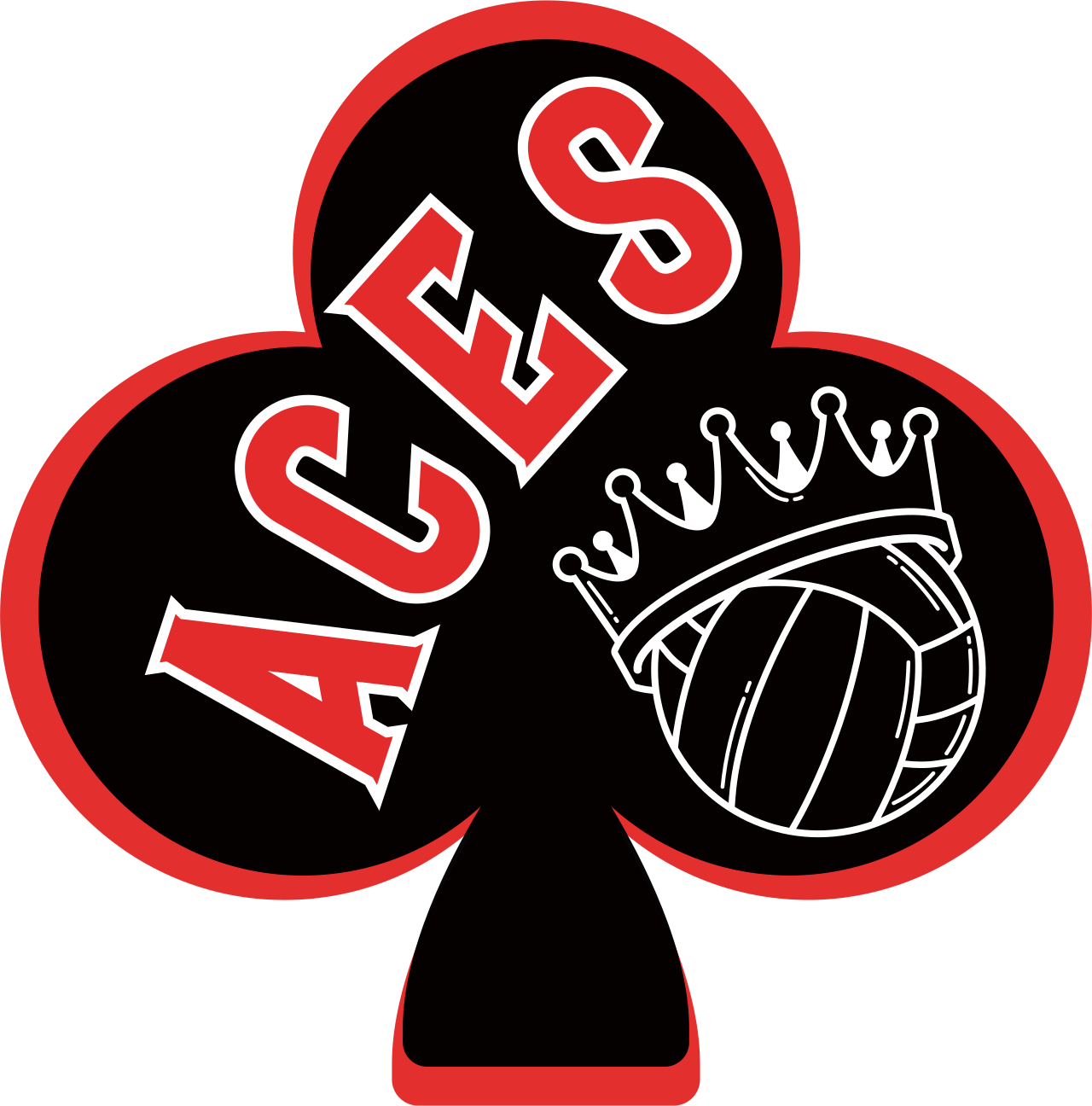 Aces Volleyball
